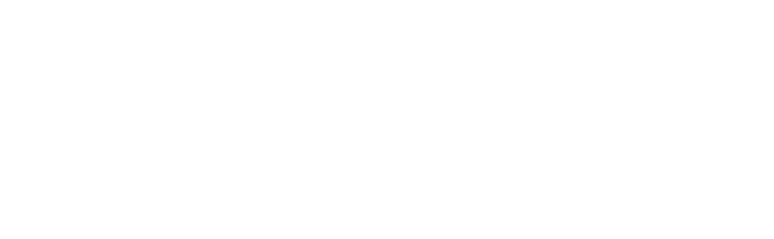 Winter Sports World logo