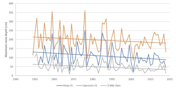 A graph showing the decline in maximum snow depths over the years.